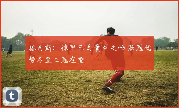 赫内斯:德甲已是囊中之物 欧冠优势尽显三冠在望