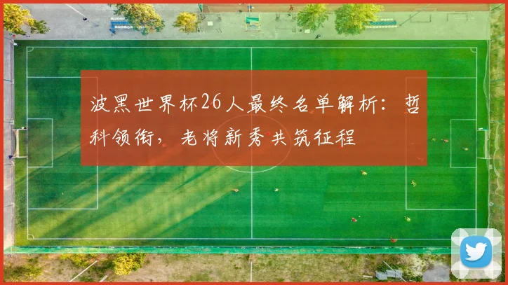波黑世界杯26人最终名单解析:哲科领衔,老将新秀共筑征程