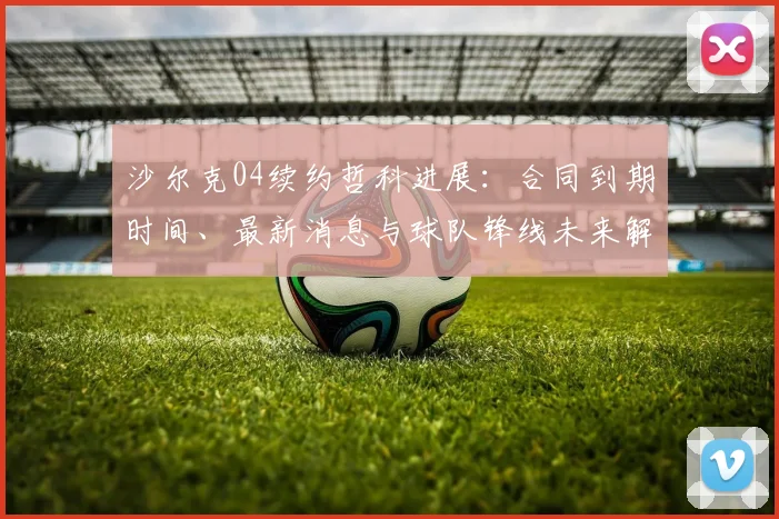沙尔克04续约哲科进展：合同到期时间、最新消息与球队锋线未来解析